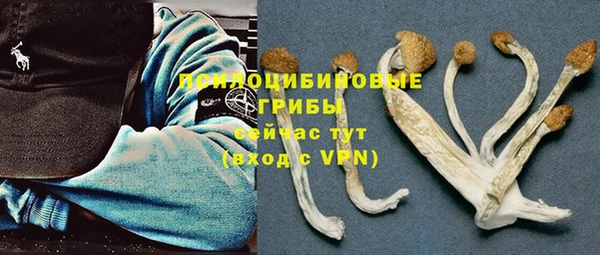 мяу мяу мука Абдулино